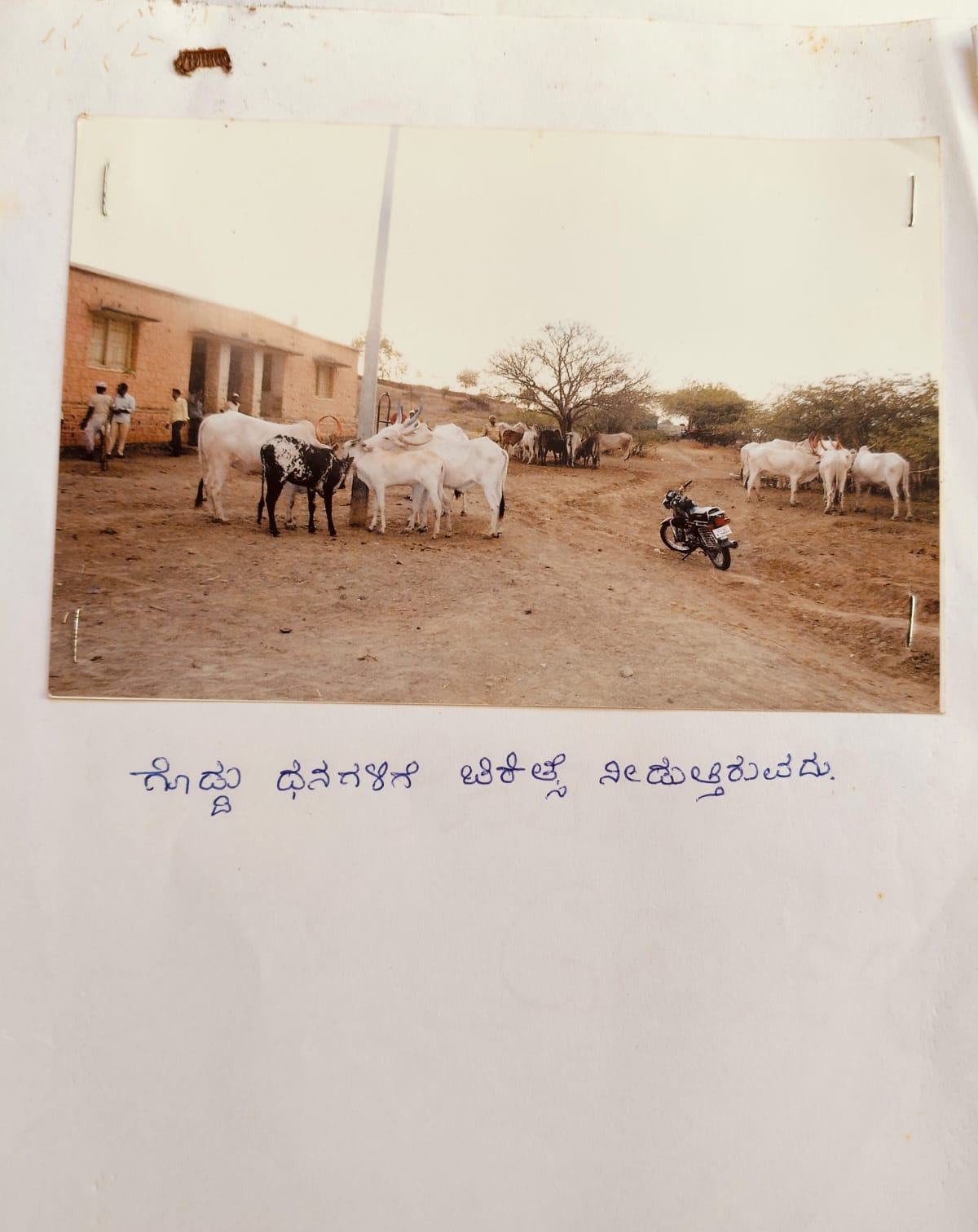 Certificate 11